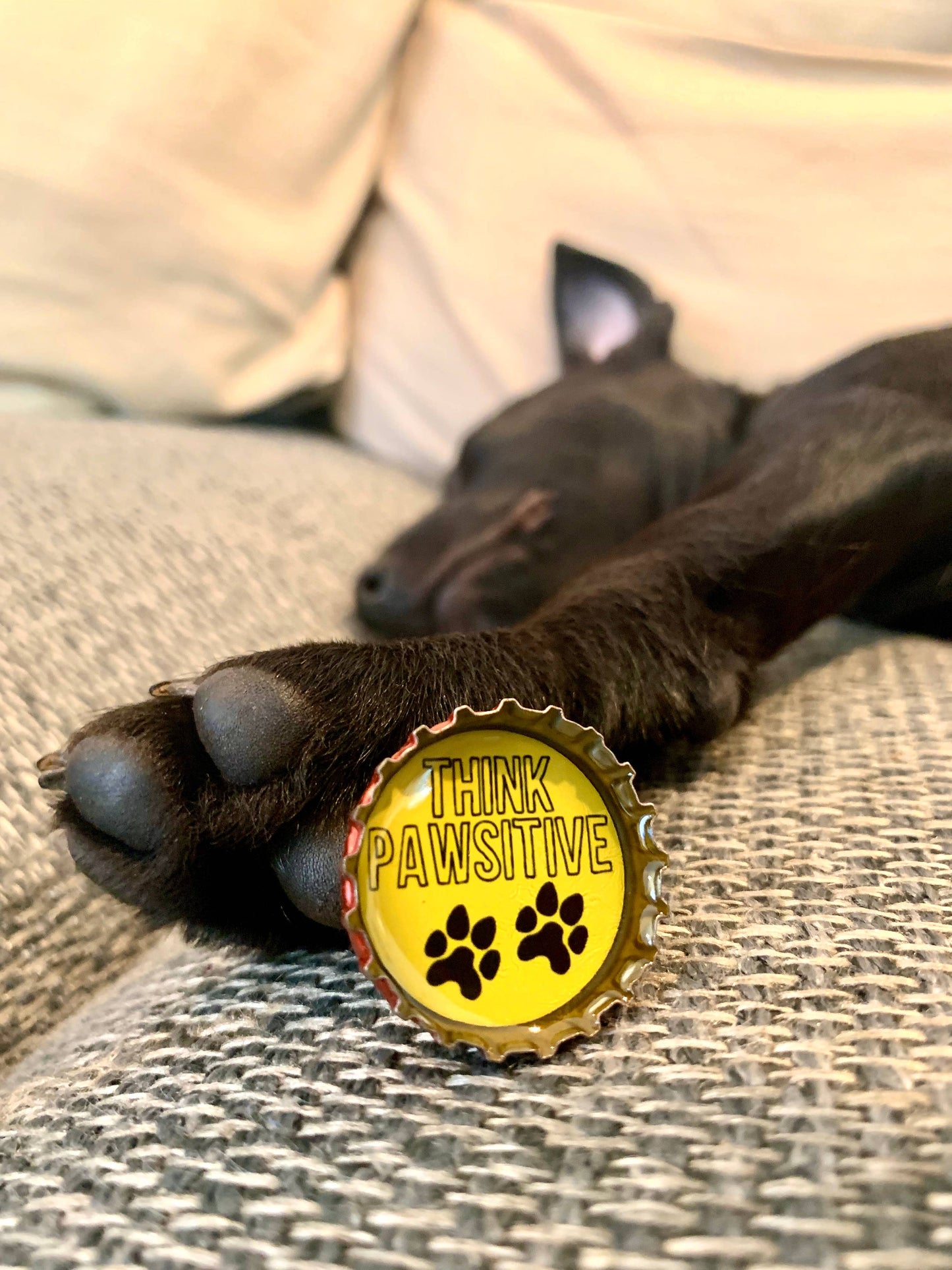 Dog Lover Magnets - Fun, Handmade & Eco-friendly